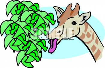 Animal Clipart
