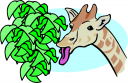 Animal Clipart