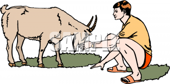 Farm Animal Clipart