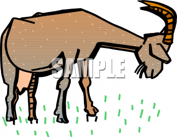 Farm Animal Clipart