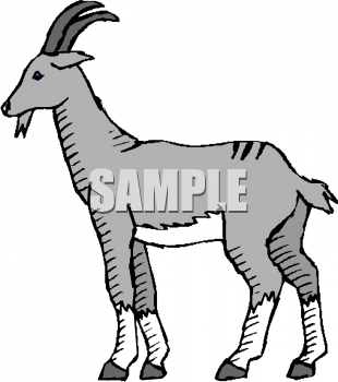 Farm Animal Clipart