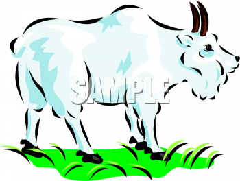 Farm Animal Clipart