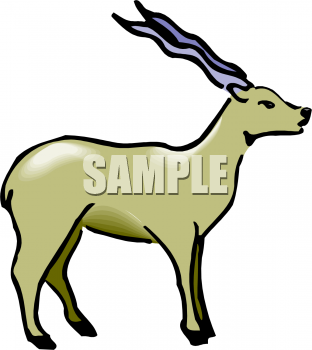 Farm Animal Clipart