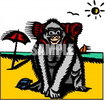 Primate Clipart