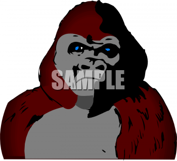 Primate Clipart