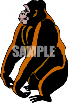 Primate Clipart