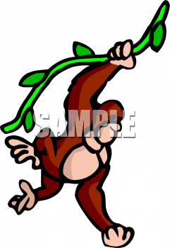 Primate Clipart
