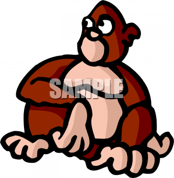 Primate Clipart