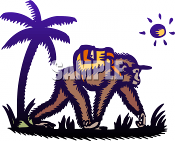 Primate Clipart