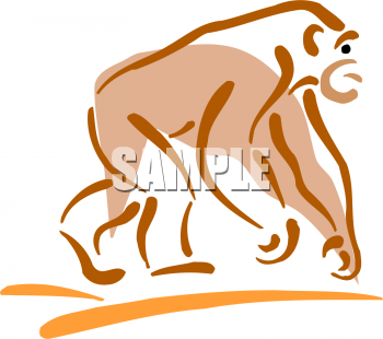 Primate Clipart