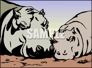 Animal Clipart