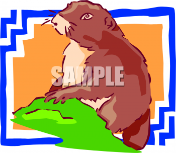 Rodent Clipart