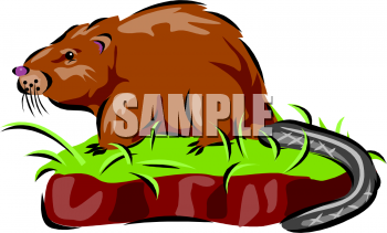 Rodent Clipart