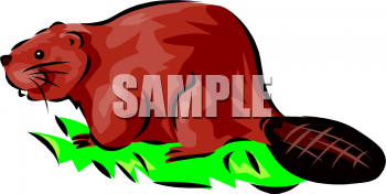 Rodent Clipart