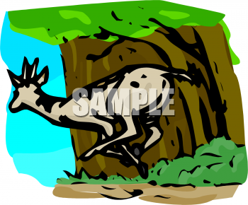 Antelope Clipart