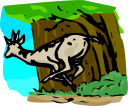 Antelope Clipart
