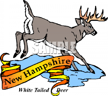 Deer Clipart
