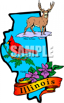 Bird Clipart