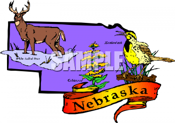 Bird Clipart