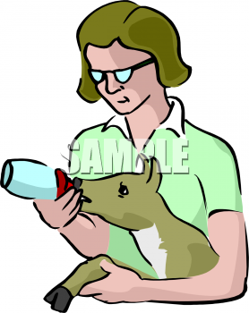 Deer Clipart