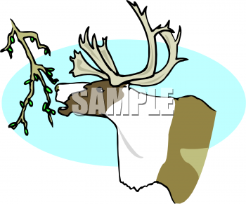 Deer Clipart