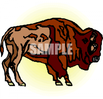 Buffalo Clipart