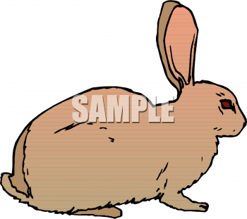 Pet Clipart