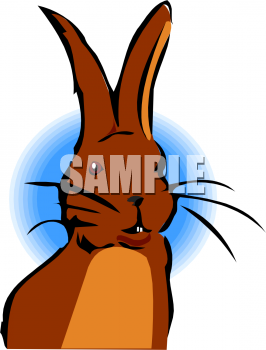 Pet Clipart