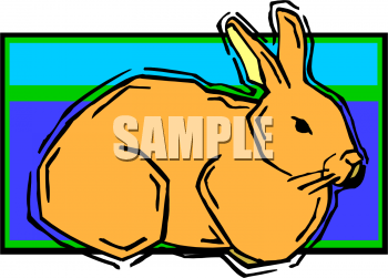 Pet Clipart