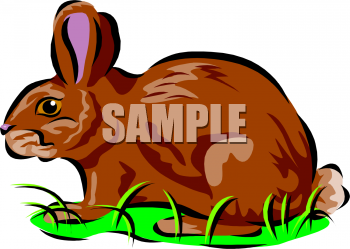 Pet Clipart