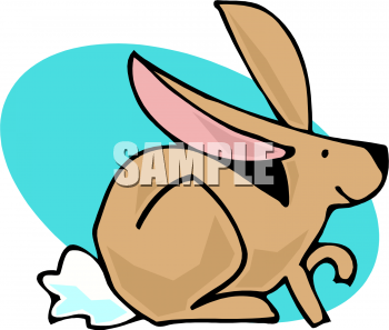 Pet Clipart