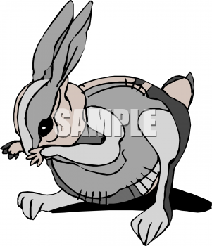Pet Clipart
