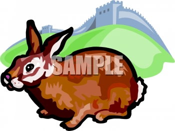 Pet Clipart
