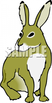 Pet Clipart