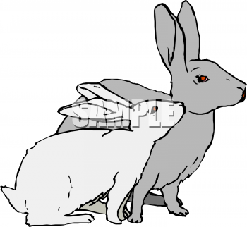 Pet Clipart