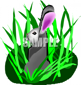 Pet Clipart