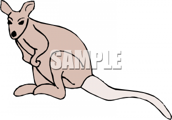 Marsupial Clipart