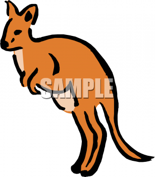 Marsupial Clipart