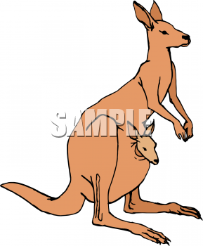 Marsupial Clipart
