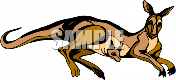 Marsupial Clipart