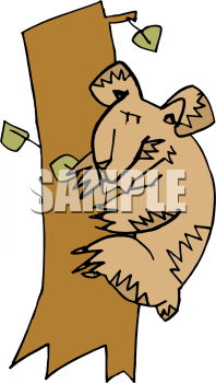 Marsupial Clipart