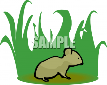 Marsupial Clipart