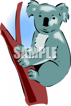 Marsupial Clipart