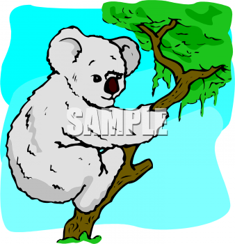 Marsupial Clipart