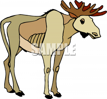 Deer Clipart