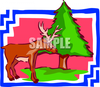 Deer Clipart