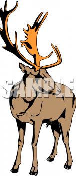 Deer Clipart