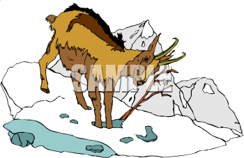 Farm Animal Clipart