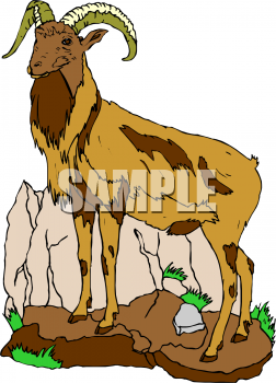 Farm Animal Clipart