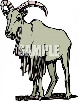Farm Animal Clipart